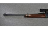 Browning ~ 81 BLR ~ .243 Win. - 7 of 9