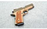 Citadel ~ M1911-A1 CS ~ .45 ACP - 1 of 4