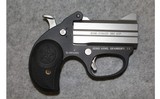 Bond Arms ~ Stinger ~ .380 ACP - 1 of 2