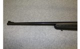 Ruger ~ American ~.22 WMR - 6 of 10