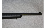 Ruger ~ American ~ .22 WMR - 4 of 10