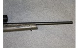 Remington ~ 597 Magnum ~ .17 HMR - 4 of 10