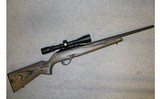 Remington ~ 597 Magnum ~ .17 HMR - 1 of 10