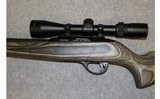 Remington ~ 597 Magnum ~ .17 HMR - 8 of 10