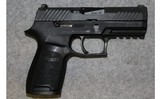 Sig Sauer ~ P320 Compact ~ 9mm Luger - 1 of 2