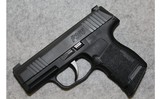 Sig Sauer ~ P365 ~ 9mm Luger - 2 of 2