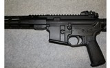 STI ~ I-215 ~ .450 Bushmaster - 7 of 9