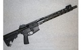 STI ~ I-215 ~ .450 Bushmaster - 1 of 9