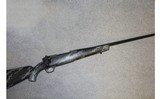 Weatherby ~ Mark V Backcountry ~ .300 Weatherby Magnum - 1 of 10