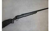 Remington ~ 700 ~ .223 Remington - 1 of 10
