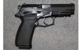 Bersa ~ TPR 9 ~ 9mm Luger