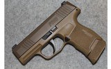 Sig Sauer ~ P365 ~ 9mm Luger - 2 of 2