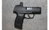 Sig Sauer ~ P365 SAS-P ~ 9mm Luger - 1 of 2
