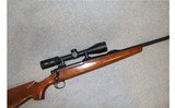 Remington ~ Sportsman 78 ~ .30-06 Springfield - 1 of 10