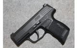 Sig Sauer ~ P365 ~ 9mm Luger - 2 of 2