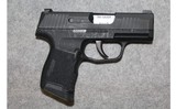 Sig Sauer ~ P365 ~ 9mm Luger - 1 of 2