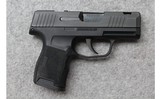 Sig Sauer ~ P365 SAS ~ 9mm Luger - 1 of 2