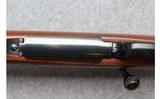 Winchester ~ Model 70 ~ .22-250 Remington - 7 of 10