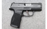Sig Sauer ~ P365X ~ 9mm Luger