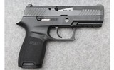Sig Sauer ~ P320 ~ 9mm Luger