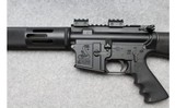 Bushmaster ~ XM15-E2S ~ .223 Remington - 8 of 10