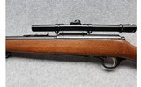 Glenfield ~ Mod. 25 ~ .22 Short, Long, Long Rifle - 8 of 10