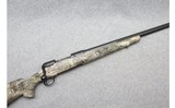 Savage ~ 10 ~ .204 Ruger - 1 of 10