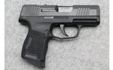 Sig Sauer ~ P365 SAS ~ 9mm Luger - 1 of 2