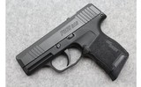 Sig Sauer ~ P365 SAS ~ 9mm Luger - 2 of 2