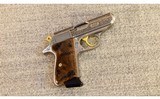 Walther ~ PPK/S Exquisite ~ .380 ACP - 1 of 5