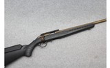 Ruger ~ American ~ .22 Long Rifle