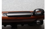 Remington ~ 700 ~ 7mm Remington Magnum - 7 of 10