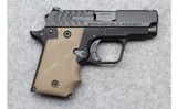 Springfield Armory ~ 911 ~ .380 ACP - 1 of 2