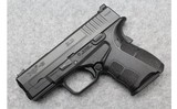 Springfield Armory ~ XDs ~ 9mm Luger - 2 of 2