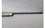 Remington ~ 700 ~ .300 Winchester Magnum - 4 of 10