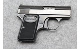 Precision Small Arms ~ PSA-25 ~ .25 Auto - 1 of 2