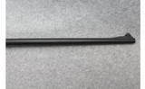 Henry ~ AR-7 ~ .22 Long Rifle - 4 of 10