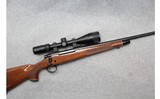 Remington ~ 700 ~ .30-06 Springfield - 1 of 10