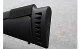 Ruger ~ American ~ .22 Long Rifle - 10 of 10