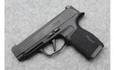 Sig Sauer ~ P365 XL ~ 9mm Luger - 2 of 2
