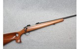 Remington ~ 700 ~ .243 Winchester