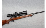 Remington ~ 700 ~ .22-250 Remington - 1 of 10