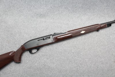 Remington ~ 66 ~ .22 Long Rifle