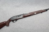 Remington ~ 66 ~ .22 Long Rifle