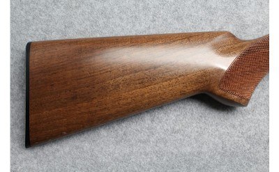 Anschutz ~ 12 Gauge