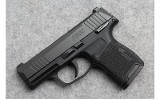 Sig Sauer ~ P365 ~ .380 ACP