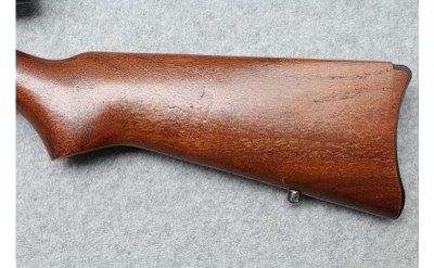 Ruger ~ 10/22 Carbine ~ .22 Long Rifle - Image 9 of 10