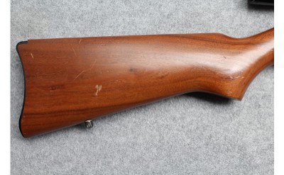Ruger ~ 10/22 Carbine ~ .22 Long Rifle - Image 2 of 10