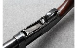 Winchester ~ 25 ~ 12 Gauge - 7 of 10