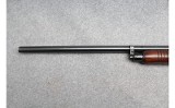 Winchester ~ 25 ~ 12 Gauge - 6 of 10